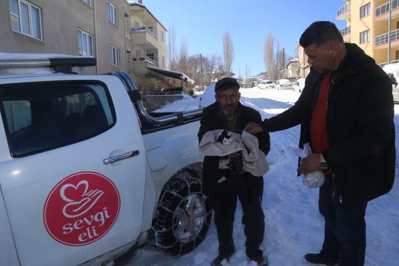 Aç kalan vaşak ilçe merkezine indi kediyi parçaladı