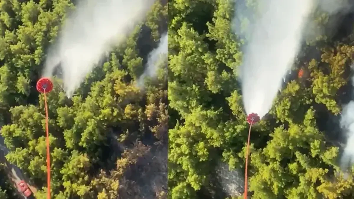 Manavgat'da korkutan yangın