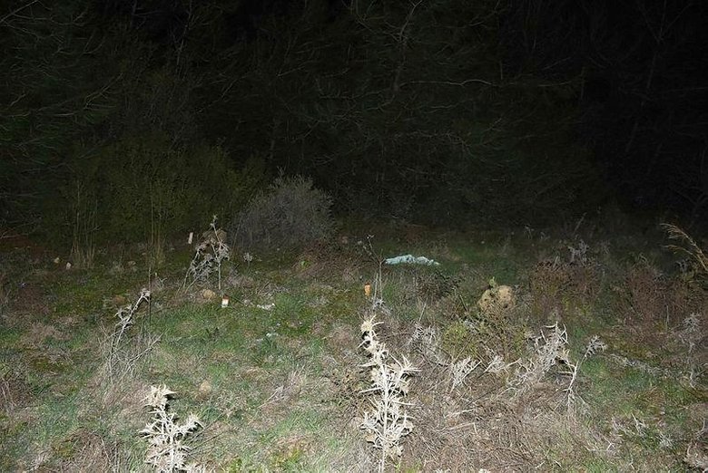 İzmir’de korkunç kadın cinayeti! Boğup ormanlık alana attı