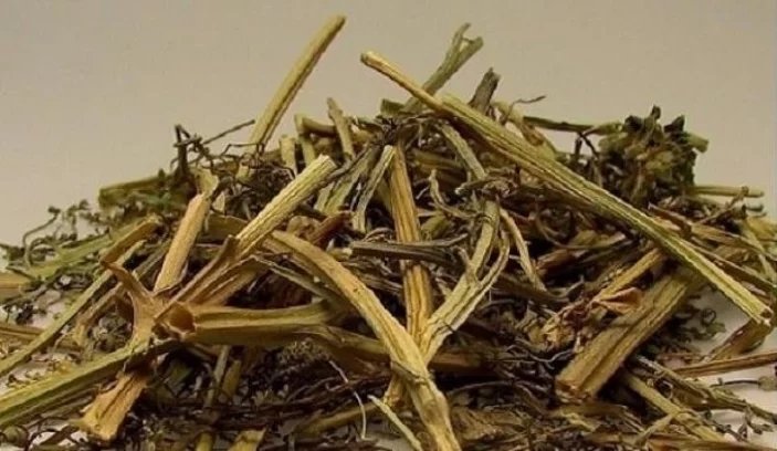 Tuvalete çıkmaya zorlanıyor musunuz? İşte size çözümü