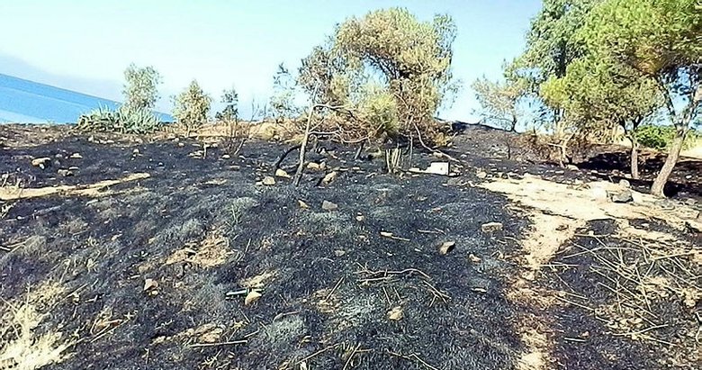 İzmir Foça’da 1 hektar makilik alan yandı