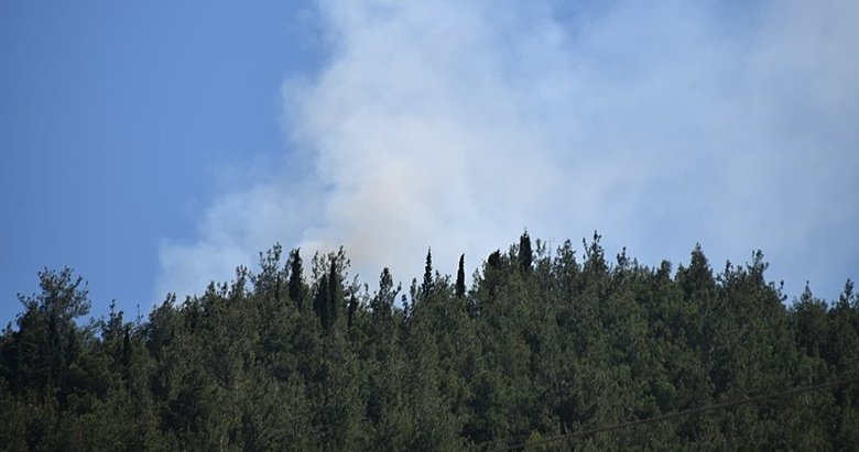 Manisa’daki orman yangını kontrol altında!