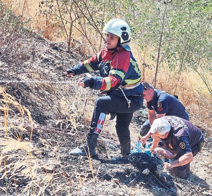 Közde patlıcan felaketi!