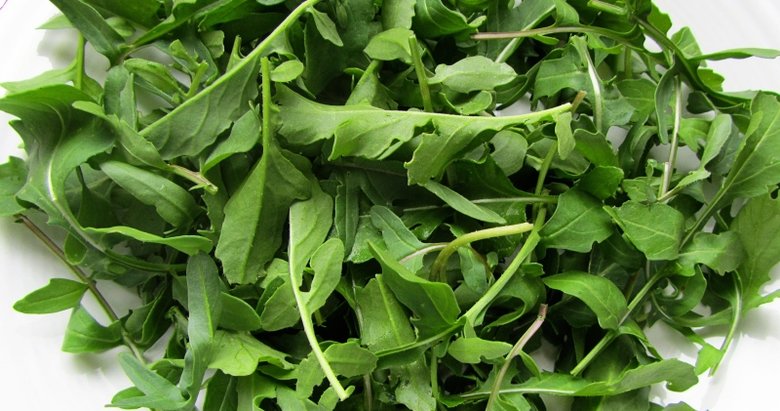 Kas kasılmalarını roka ile önleyin