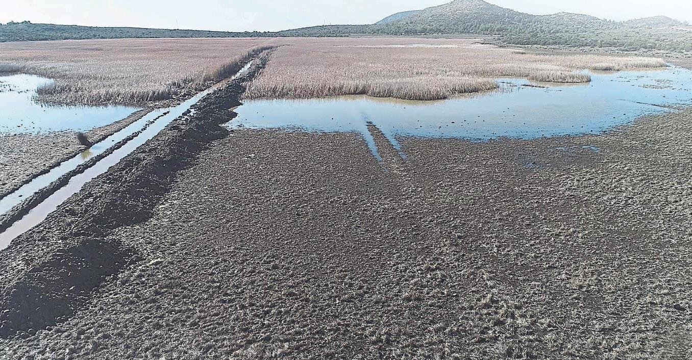 Yeni Asir Yazdi Iris Golu Kurtuluyor Sanal Basin