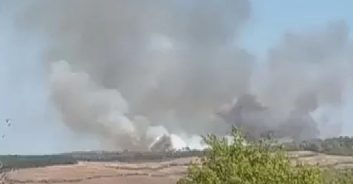 Son dakika: Beykoz’da ormanlık alanda yangın!