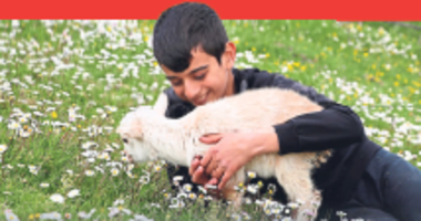 Minik çobanlar birincilik için yarışacak