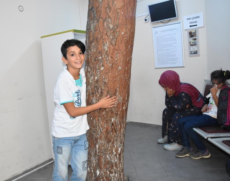 İzmir’de hastanenin bekleme salonundaki çam ağacı şaşırtıyor
