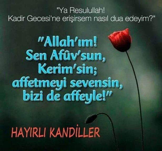 Resimli Kadir Gecesi mesajları! 2024 Instagram, Facebook, WhatsApp'ta paylaşmalık kandil mesajları...