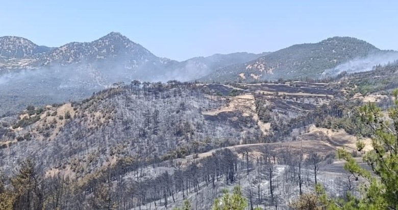 Denizli’de ot temizlemek isterken ormanı yakan 3 şüpheli gözaltına alındı
