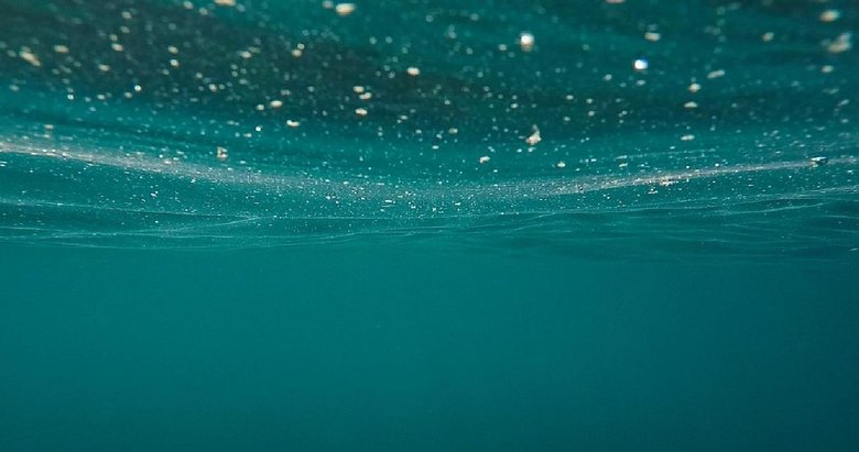 AB ülkelerinin yüzey sularının sadece yüzde 40’ından azı ekolojik standartları karşılıyor