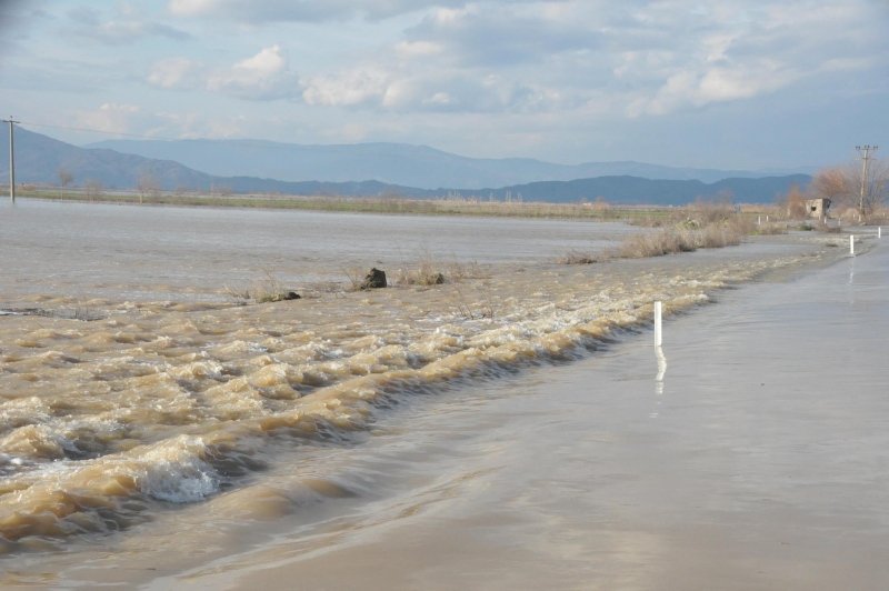 Büyük Menderes Nehri taştı! 40 bin dönüm arazi su altında