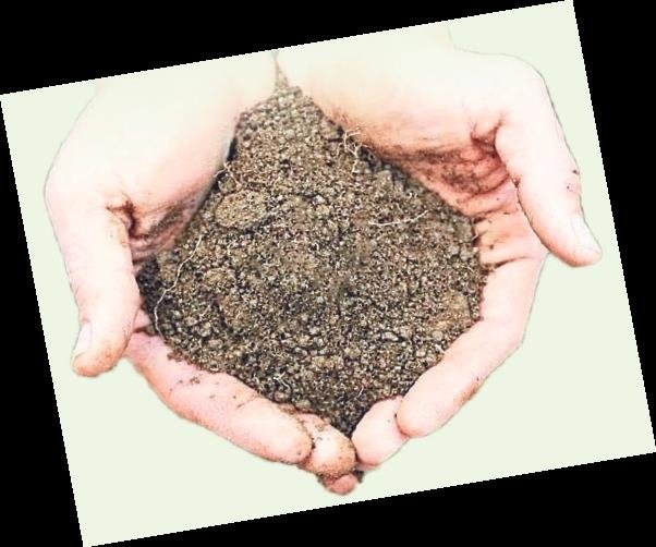 Topraktan yaratılan Hz. Adem’in hikayesi