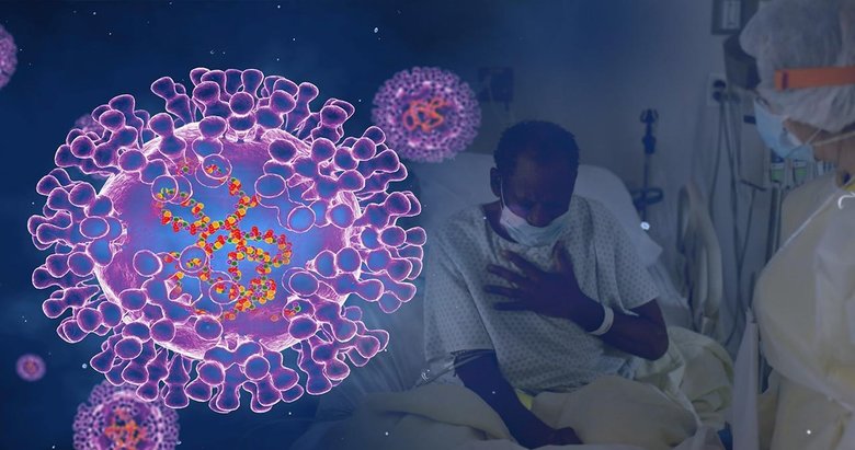 DSÖ: Afrika’da bu yıl 30 bin maymun çiçeği vakası görüldü