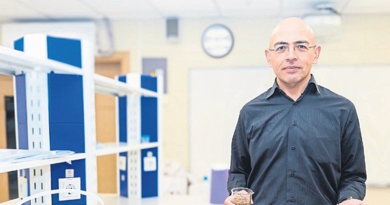 Ceviz kabuğundan kedi kumu üretti