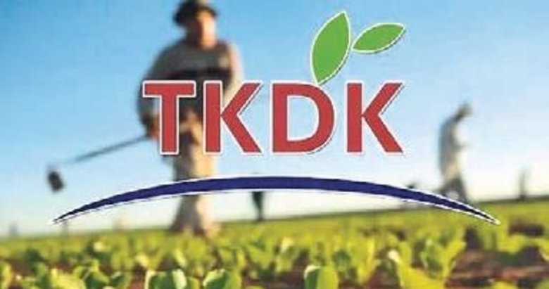 TKDK’dan yatırımcıya geri ödemesiz destek