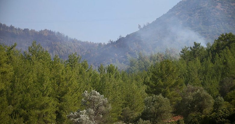 Bakan Bekir Pakdemirli: İzmir Karabağlar’daki yangın kontrol altına alındı