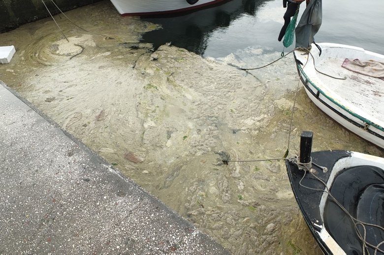 Balıkesir’de müsilaj binlerce balık ölümüne neden oldu