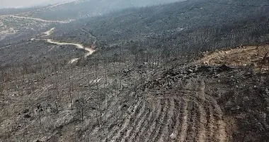 Muğla’da yürek yakan görüntü: Alevlerin küle çevirdiği alanlar görüntülendi