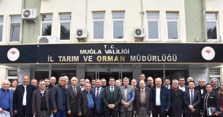 Muğla’da yangın yaraları sarılıyor: Tarım ve hayvancılık alanlarında hasar tespit çalışması