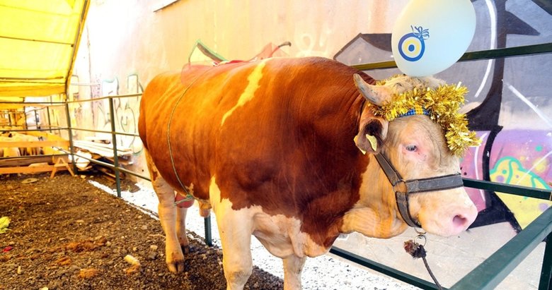 Son dakika: Kurban kesim vekalet ücretleri belli oldu