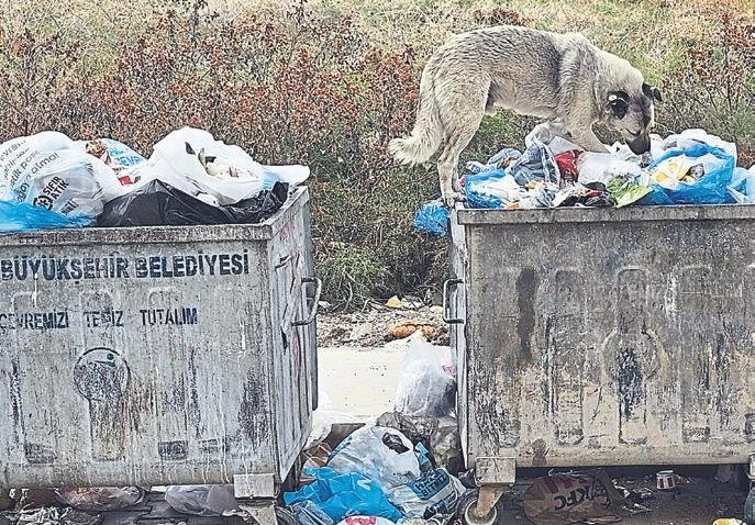 Çiğli’de çöp krizi bitmedi
