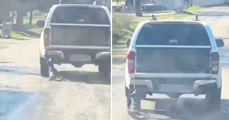 Köpeği sürükleyen vicdansızlar gözaltında