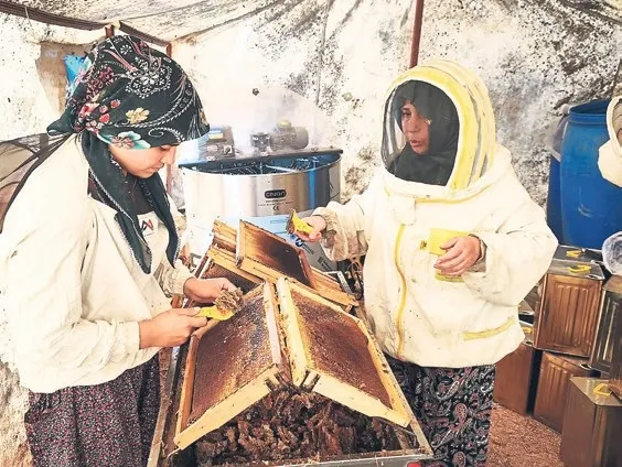 muglali-aricilardan-glikozlu-bal-tepkisi-1792876419278.jpeg