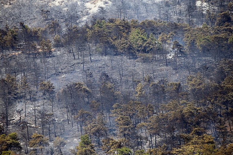 Menteşe yangını 3’ncü günün sonunda kısmen kontrol altında