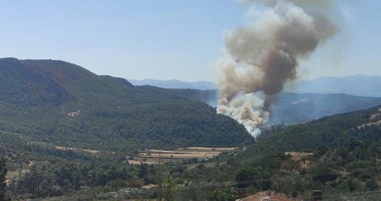 Manisa’da orman yangını