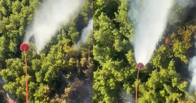 Manavgat’da korkutan yangın