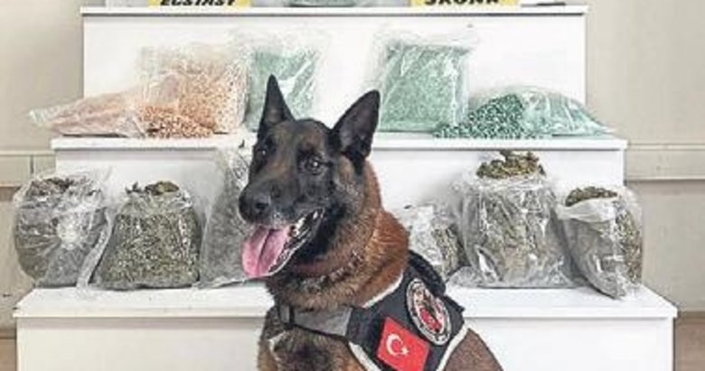 20 kilo uyuşturucuyu Köpek ‘Yasa’ buldu