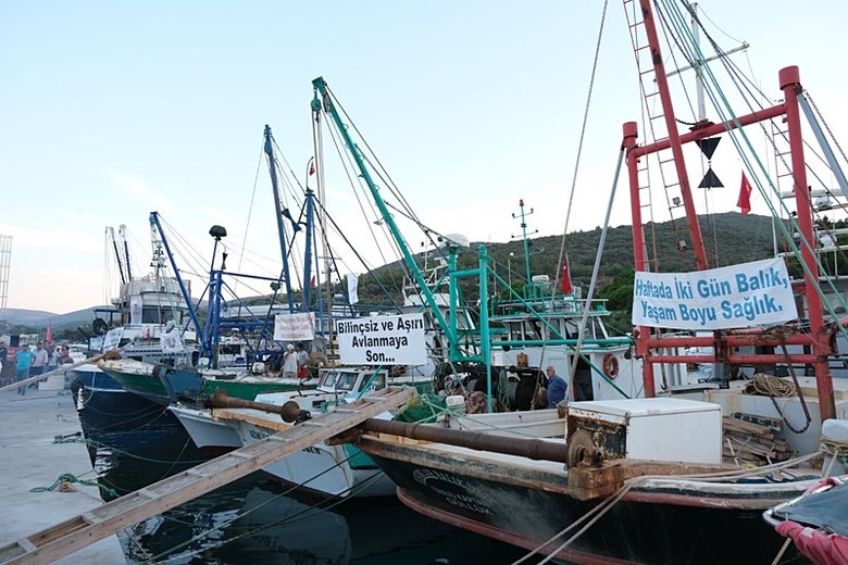 Av sezonu başladı! Bodrum’da balıkçılar ’Vira Bismillah’ dedi
