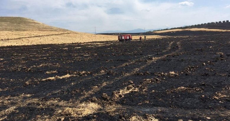 Manisa’da 250 dönüm ekili alan kül oldu