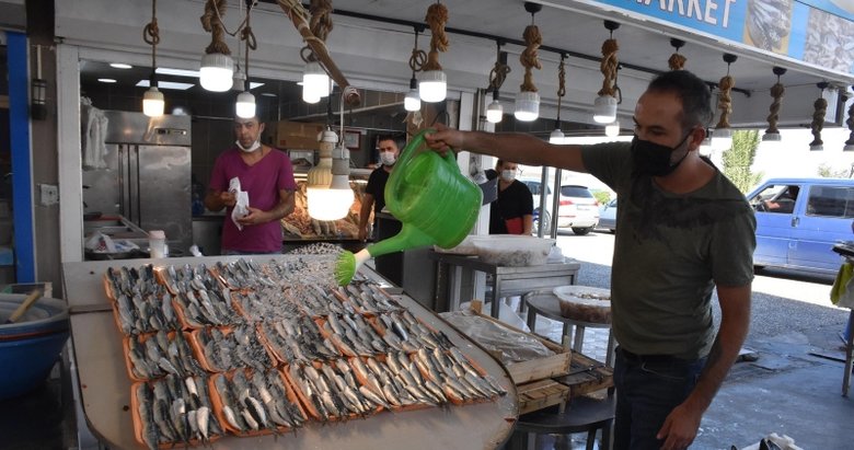 Barınaktaki balıkçıların ’ihale’ korkusu! CHP’li belediyeye tepki