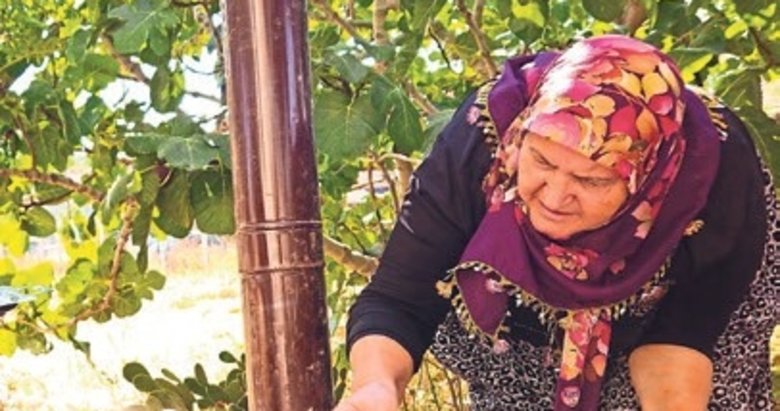 Sındırgı’da tarhana bezdirmesi bereketi