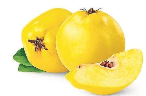 Kasım ayının süper besini balkabağı