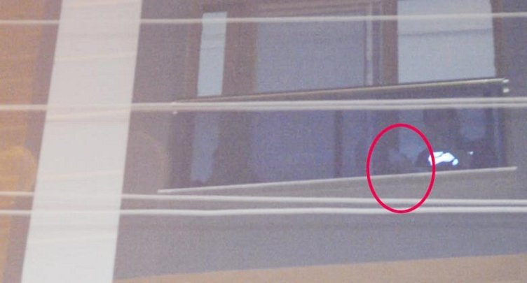 Manisa’da sıkışan yavru güvercini itfaiye kurtardı