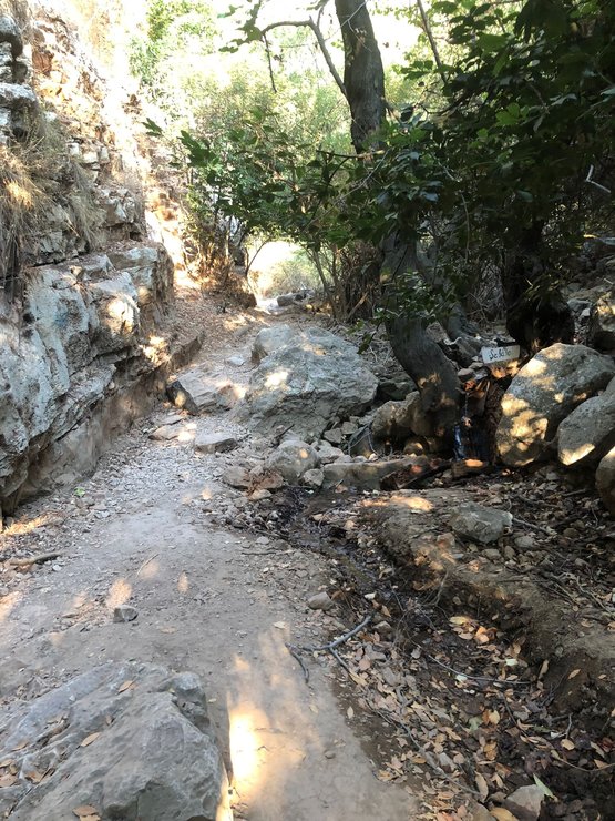 Kelebekler Vadisi’nde terlik kurbanı oldu! Gülsimay’ın ölümünde kahreden detay