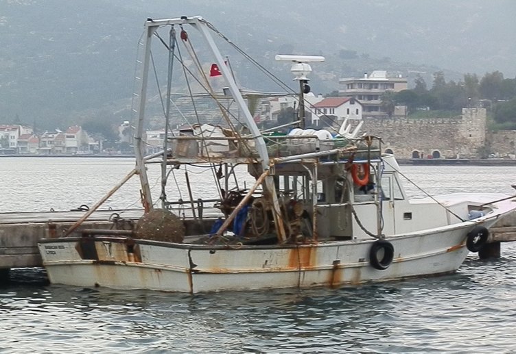 İzmir’de inanılmaz olay! Bakın balıkçının ağına ne takıldı?
