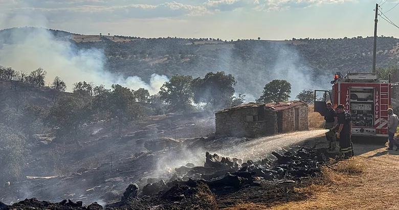 Uşak’ta meşelik alanda korkutan yangın: Havadan ve karadan müdahale ediliyor!
