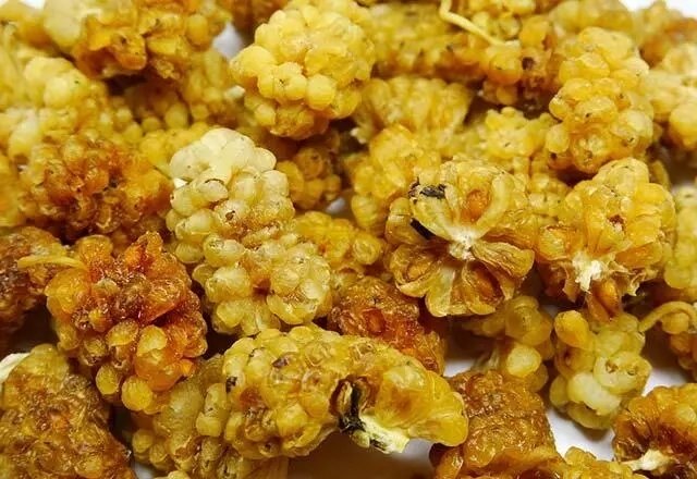 Kurusu yaşını solladı! Günde 1 avuç yerseniz...