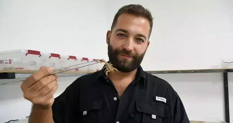 Zehirden servet! Akrep zehri altınla yarışıyor