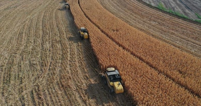 Çiftçilere 6 milyar liralık destek ödemesi başladı