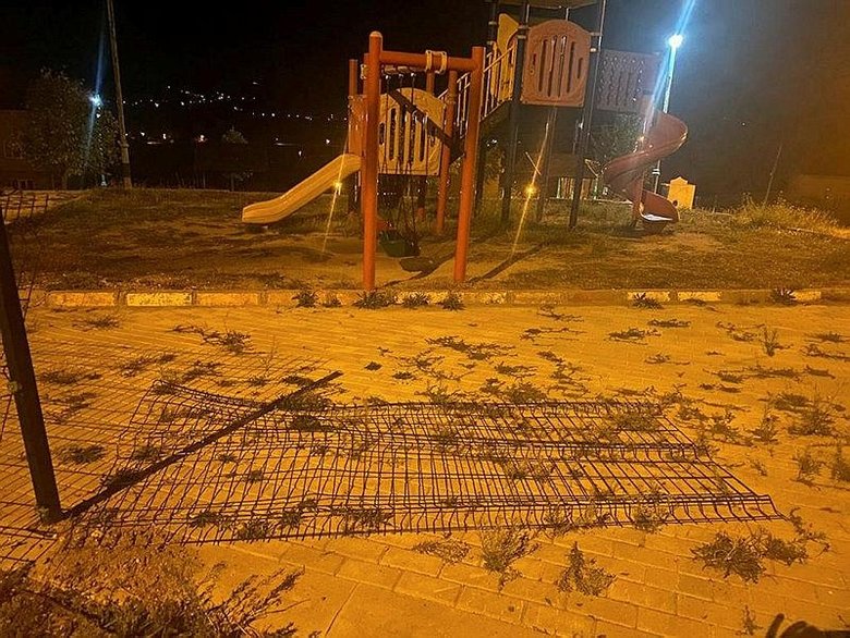 Parkta oturan gençleri ayı kovaladı! Ege’nin o ilçesinde ’dikkatli olun’ uyarısı