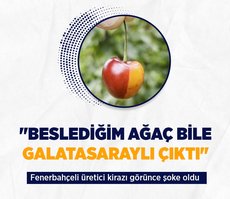 Denizli’de Fenerbahçeli kiraz üreticisi: Beslediğim ağaç bile Galatasaraylı çıktı