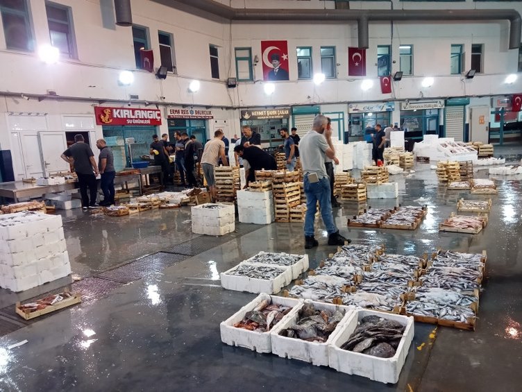 Hamsi ve sardalya halin gözdesi oldu: İzmirli balıkçılar yeni sezondan umutlu