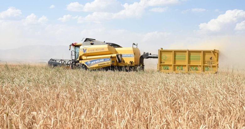 Tarım ÜFE haziranda aylık bazda yüzde 1,95 arttı