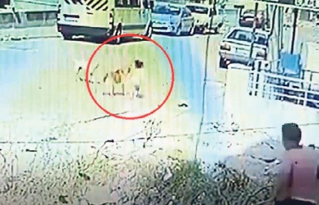 2 kardeş 3 gün arayla köpek saldırısına uğradı