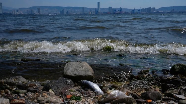 İzmir’de hafta sonu nerede balık tutulur?